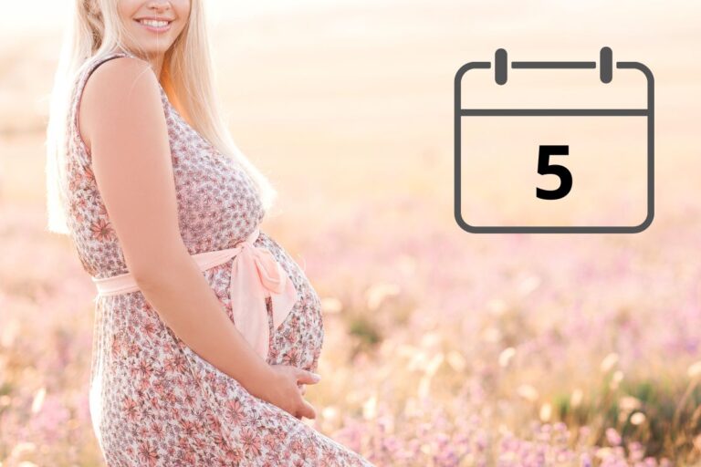 Kalendarz ciąży - piąty miesiąc
