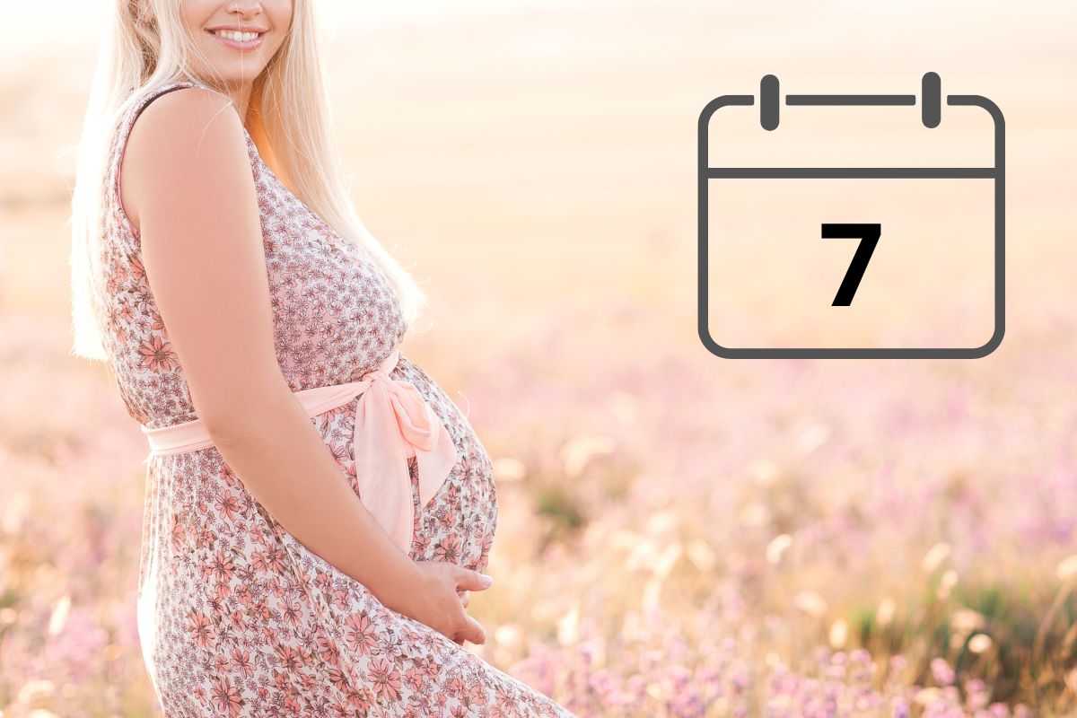Kalendarz ciąży - siódmy miesiąc